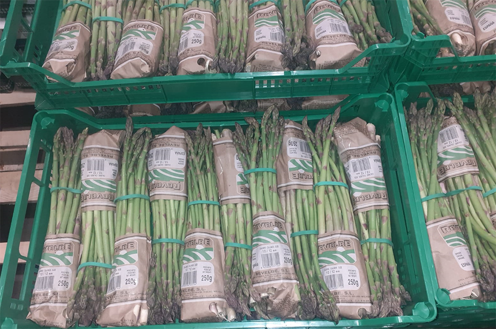Asparagi - Italia - 15 euro a cassetta